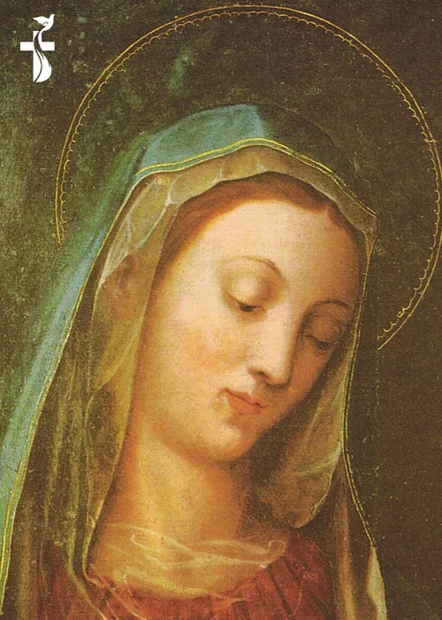 07 February Our Lady Mother of Grace