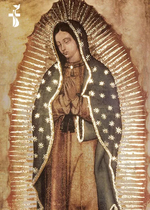 12 December Our Lady of Guadalupe