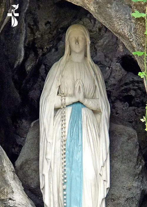 14 November Our Lady of The Grotto