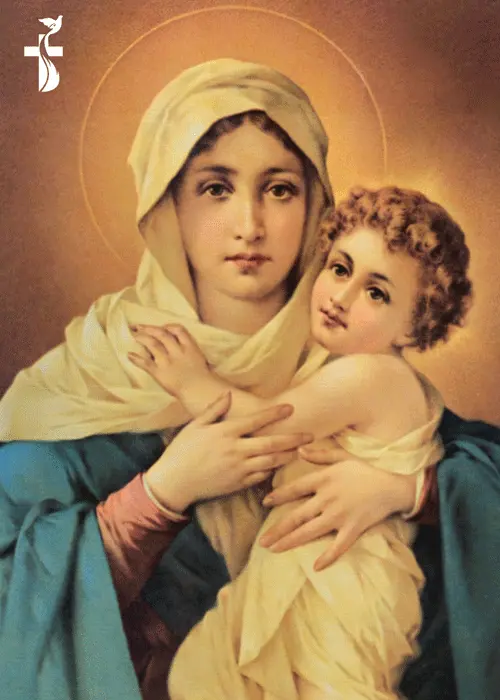 16 January Our Lady Refuge Of Sinners