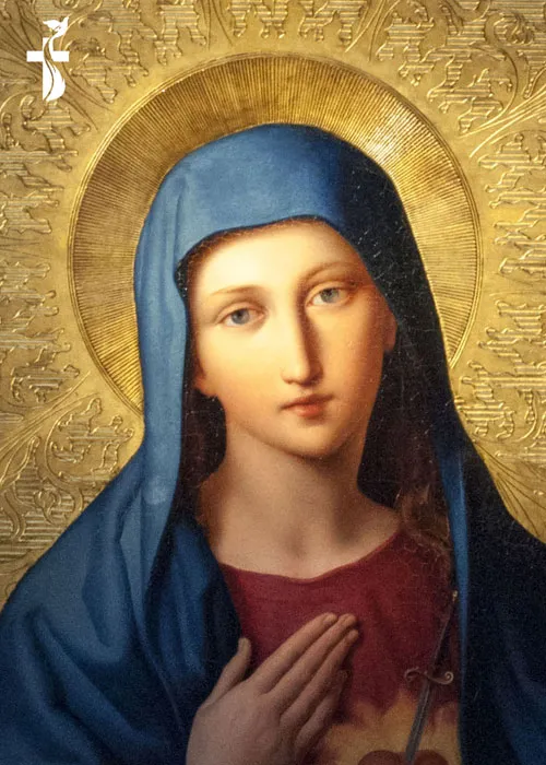 22 August ImmaCulate Heart of Mary