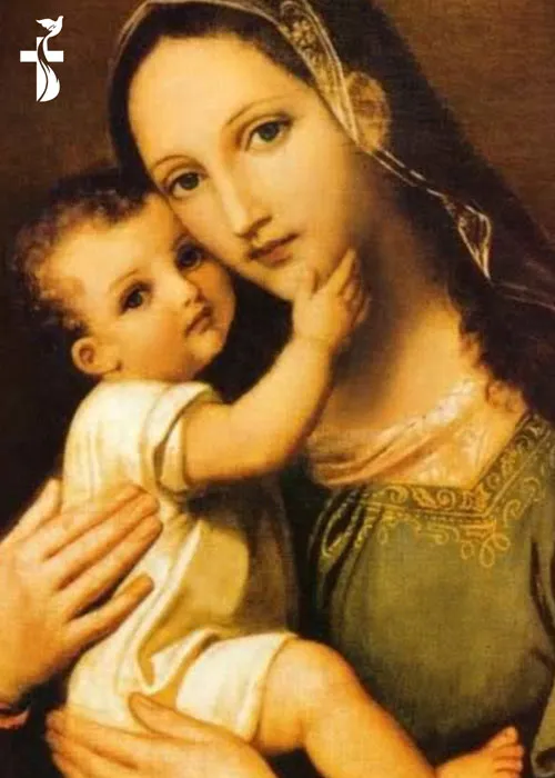 25 June The Divine Motherhood of Our Lady