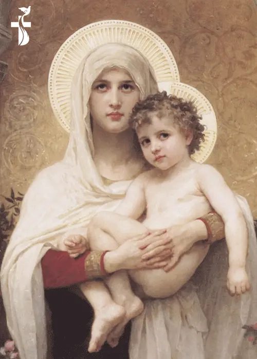 30 January Madonna Of The Rose