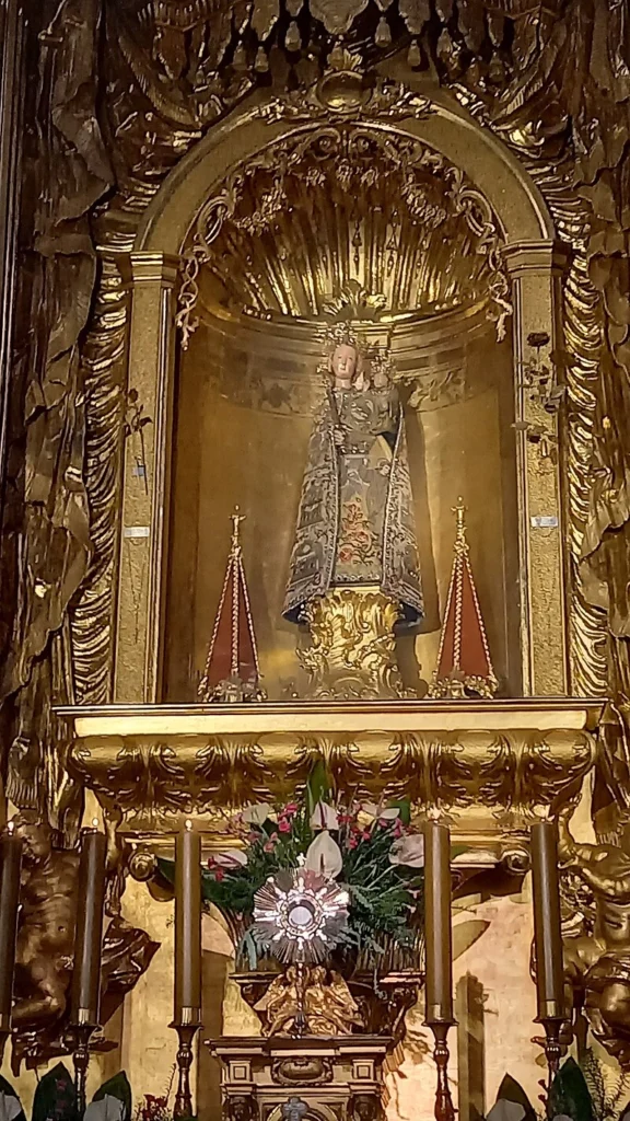 History of the Basilica of the Assumption of the Blessed Virgin Mary, Rzeszów, Poland