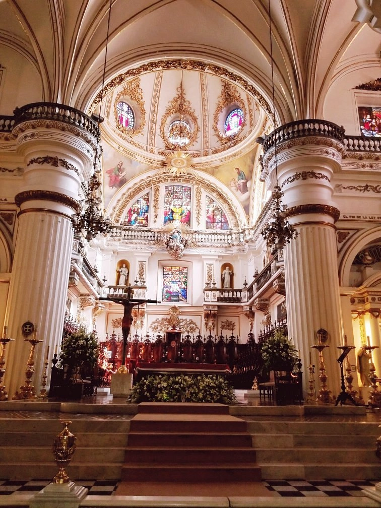Basilica of the Assumption of Our Lady, Guadalajara, Mexico North & South nave