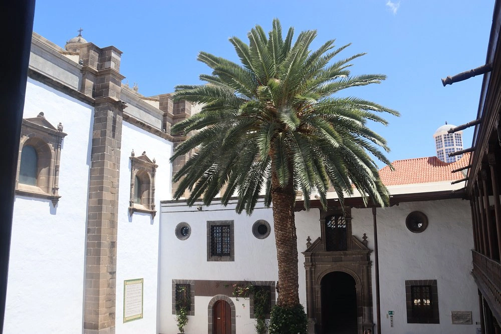 Cathedral of St. Ann, Las Palmas de Gran Canaria, Spain palm