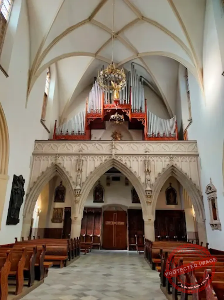 Tarnów Cathedral organs