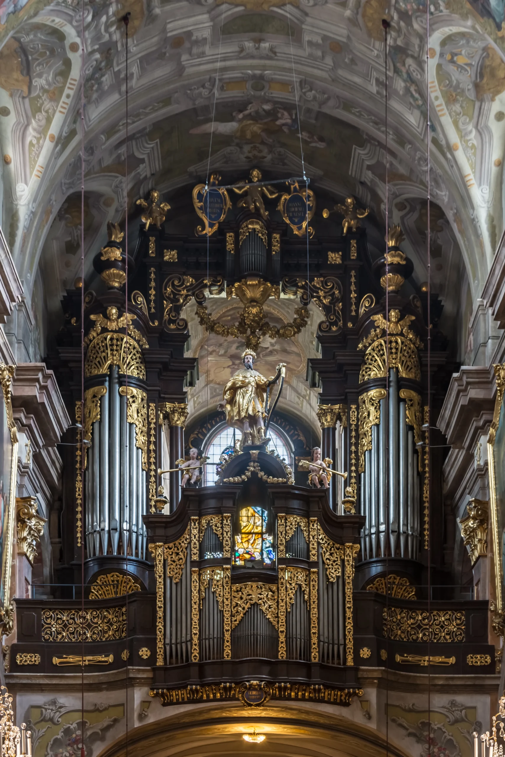 organ